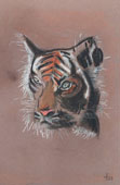 Tiger-pastell